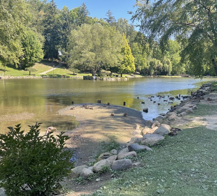 Silver Park Duck Pond (Alliance,&nbspOH)